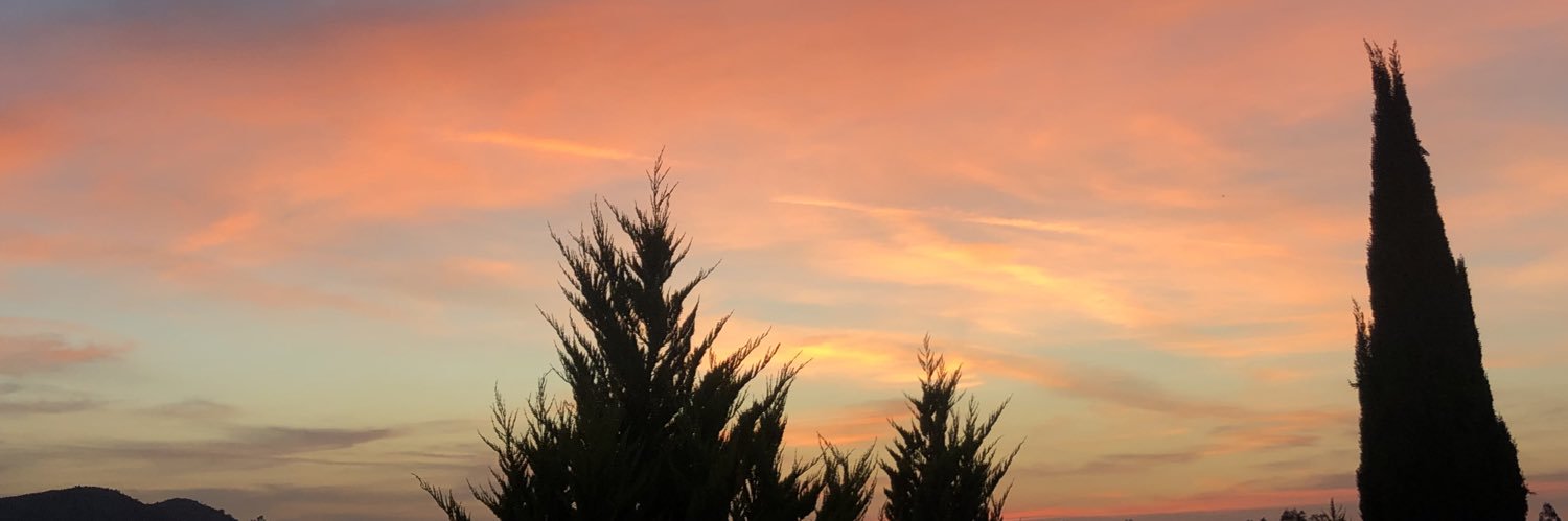 Lizlapichula's profile banner image