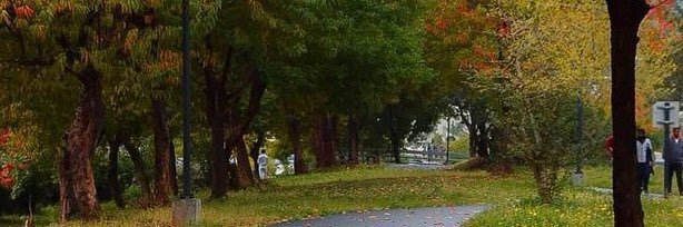 tanweerm's profile banner image