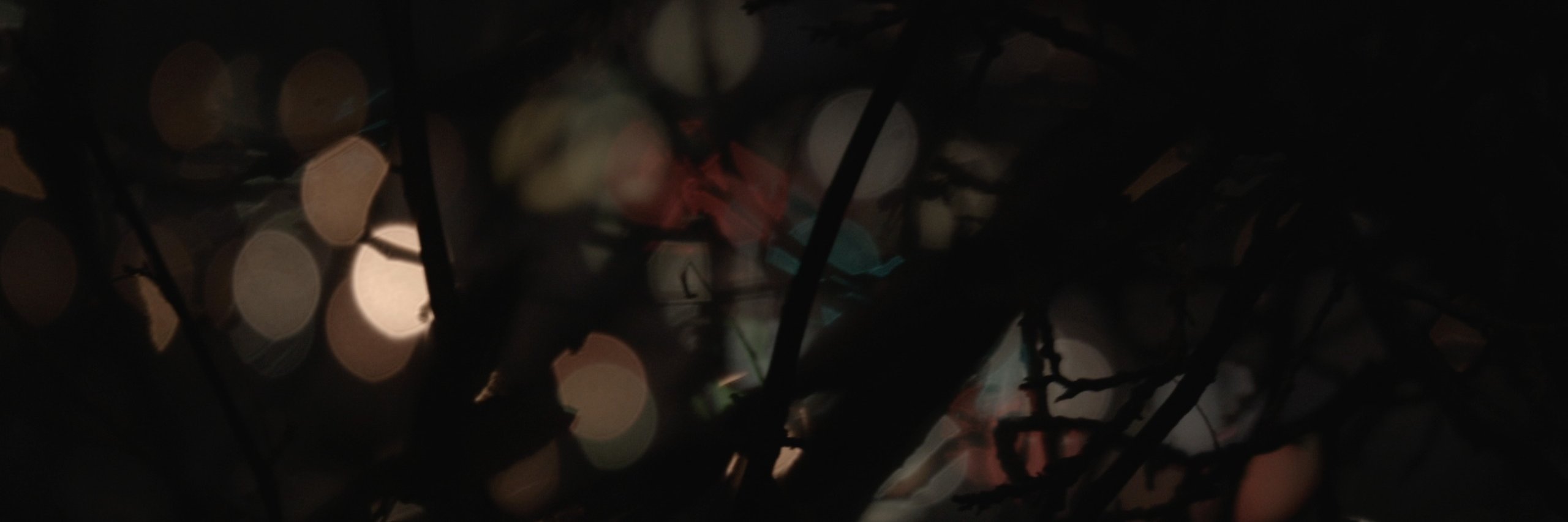 melmurray1's profile banner image
