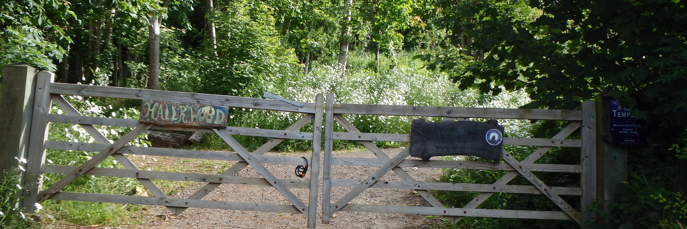 Hallrwood's profile banner image