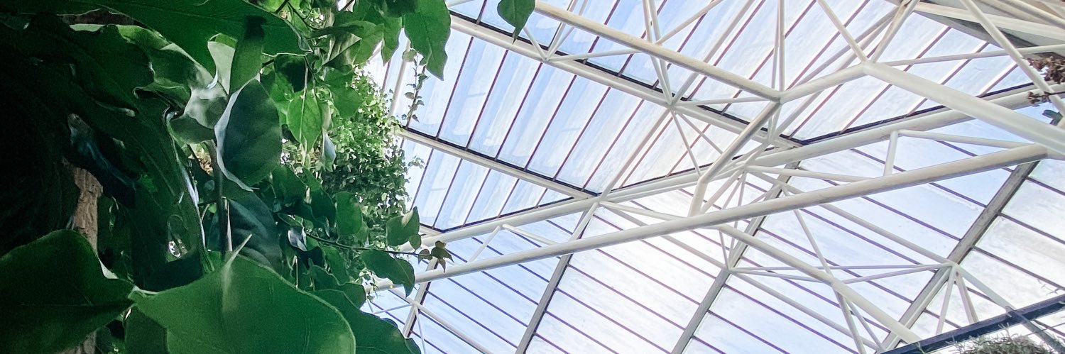 Marie_Donn's profile banner image