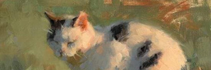 moreallyloug's profile banner image