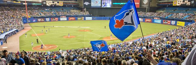SeifarthBrae's profile banner image