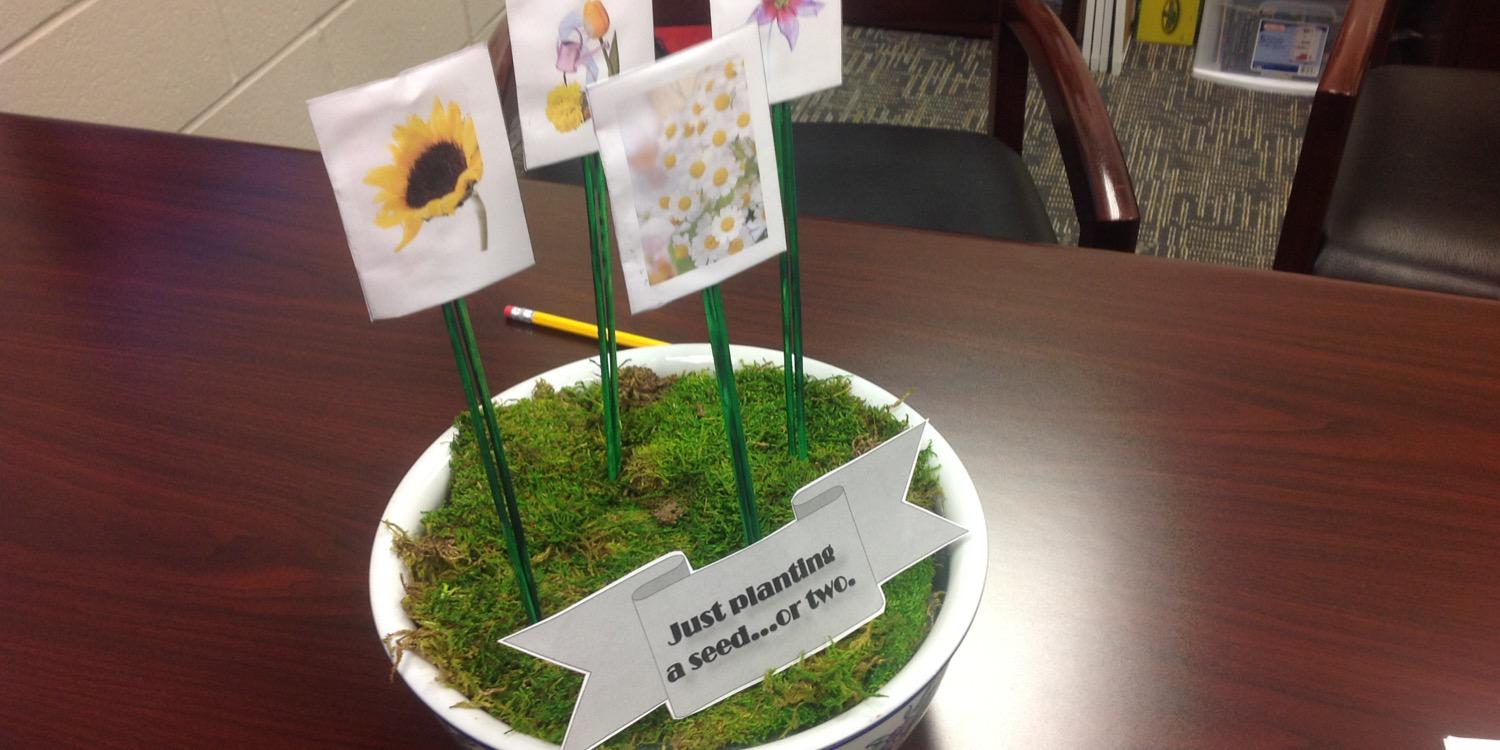 Dr. Ryan Bodensteiner banner