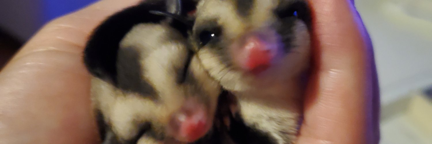 マミタス banner