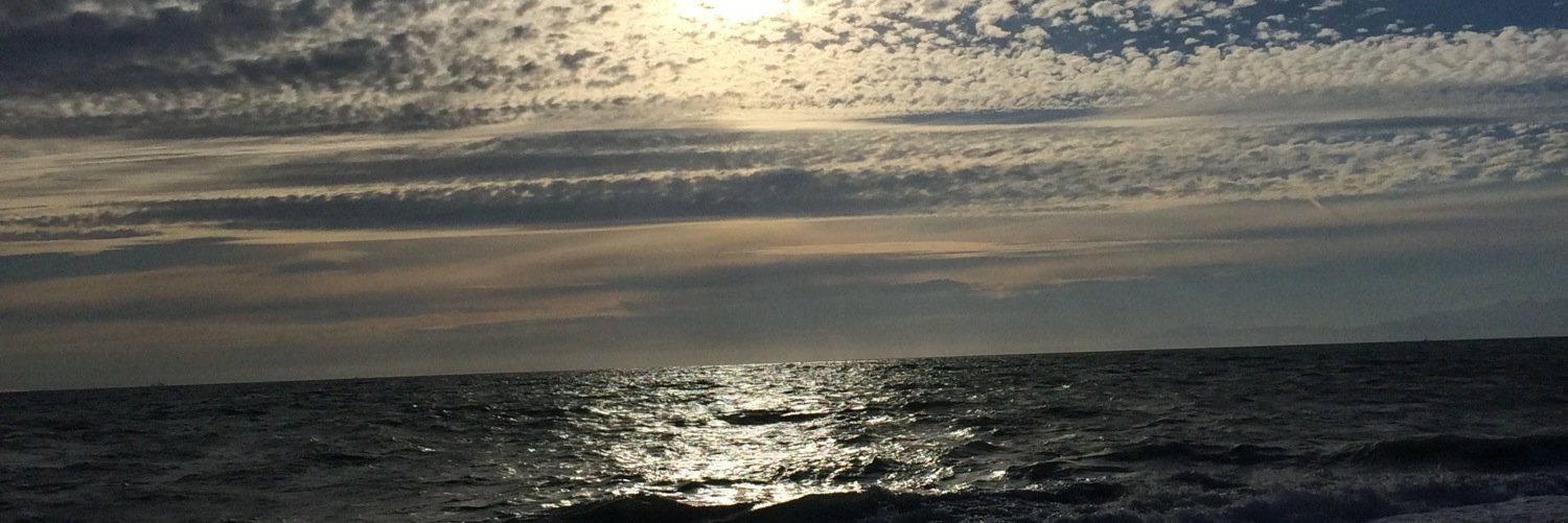 amandaprybil's profile banner image