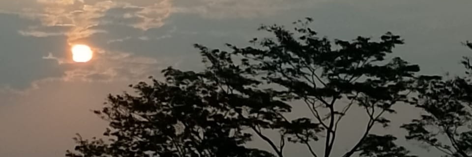 ailesoRo's profile banner image