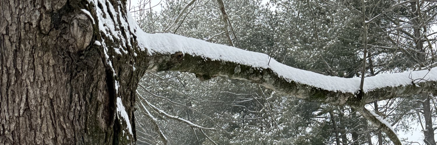 jenj740's profile banner image