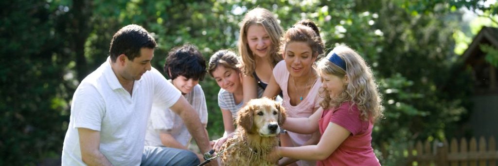 Woodfork_Insure's profile banner image