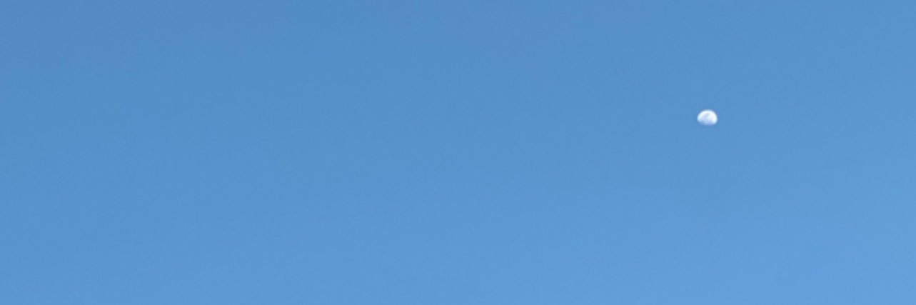 nn •͈ ᴗ •͈ banner