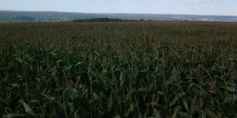 91PoorFarmer's profile banner image