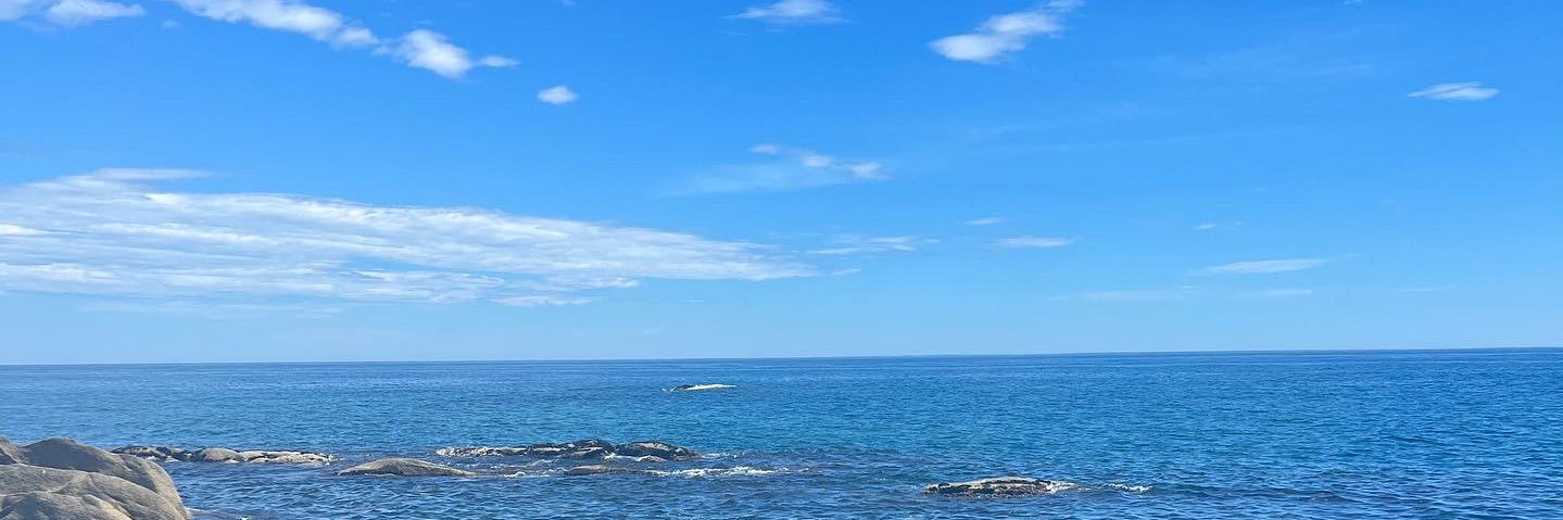 SarahLois15's profile banner image