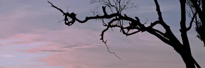 nabilasitir's profile banner image