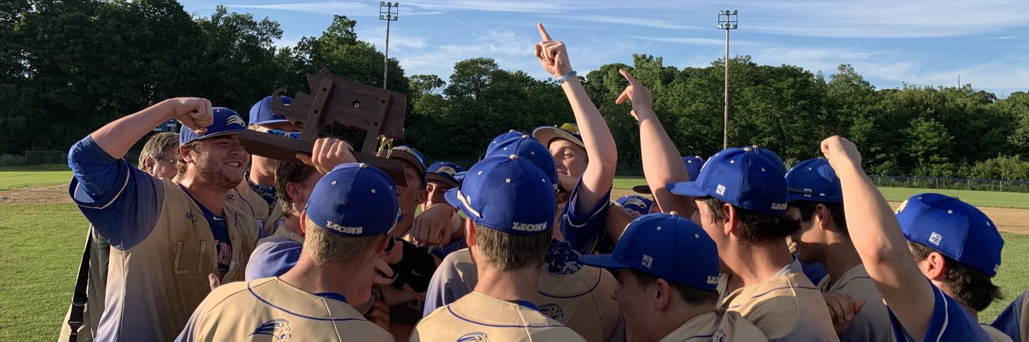 Lions Baseball banner