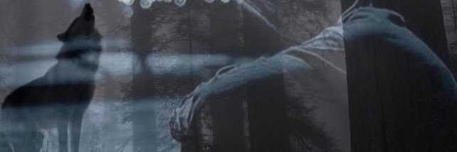 Fai14sall's profile banner image