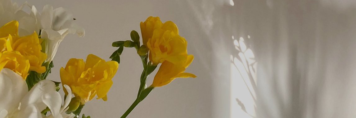 A_j_247's profile banner image
