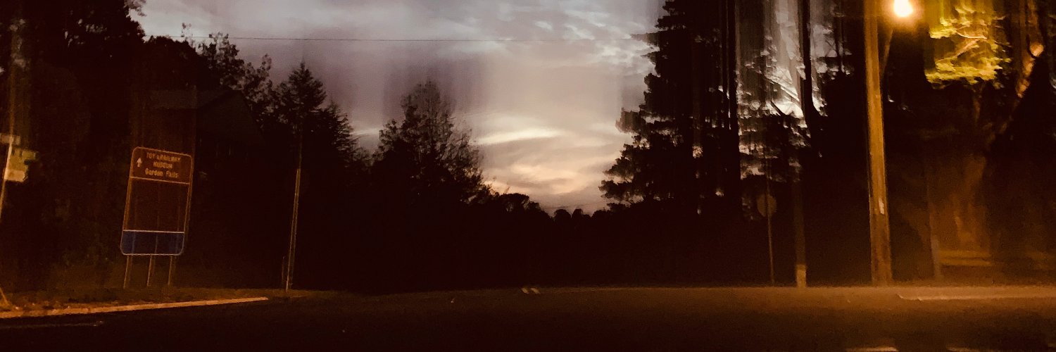 The Model School banner