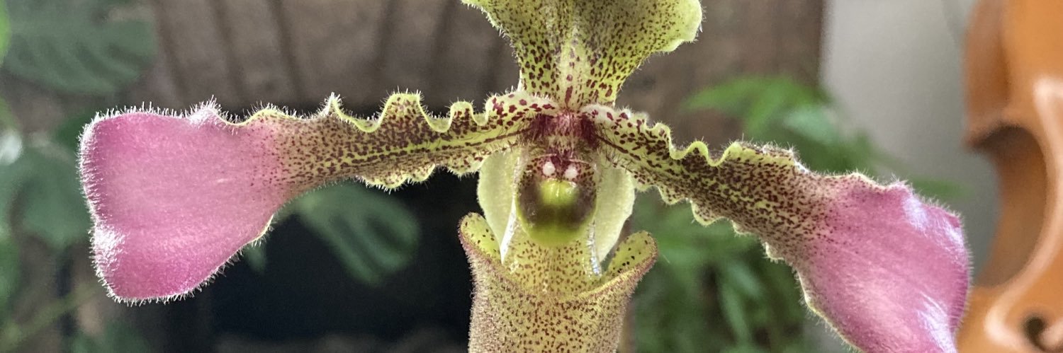 Sir Thomas Drake 🇺🇸 banner