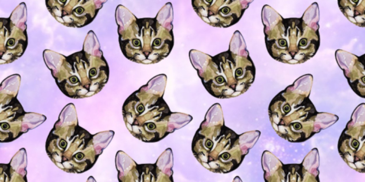 dallaspumaa's profile banner image