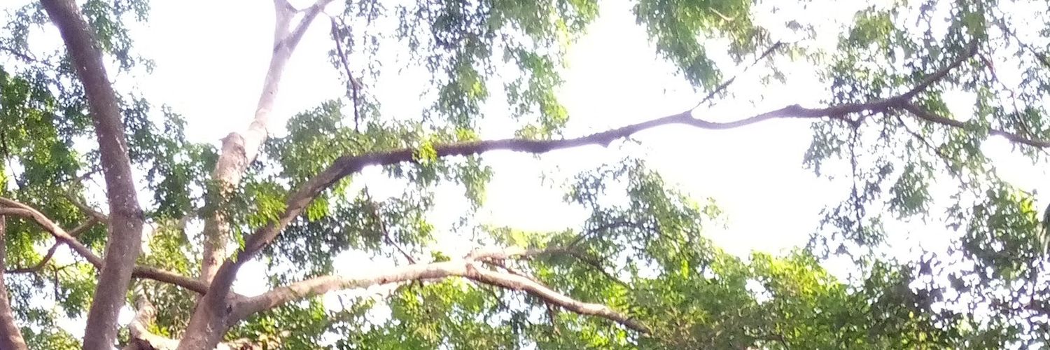 markcubzedmond's profile banner image