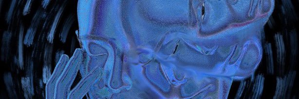 Swan__000's profile banner image
