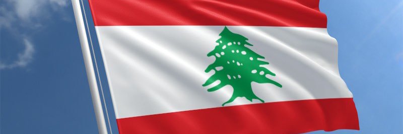 ginaneboudagher's profile banner image