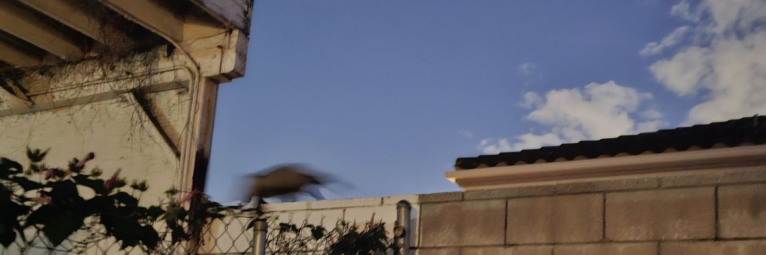 TempVariable's profile banner image