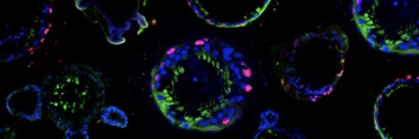 ShafaWaters Profile Banner