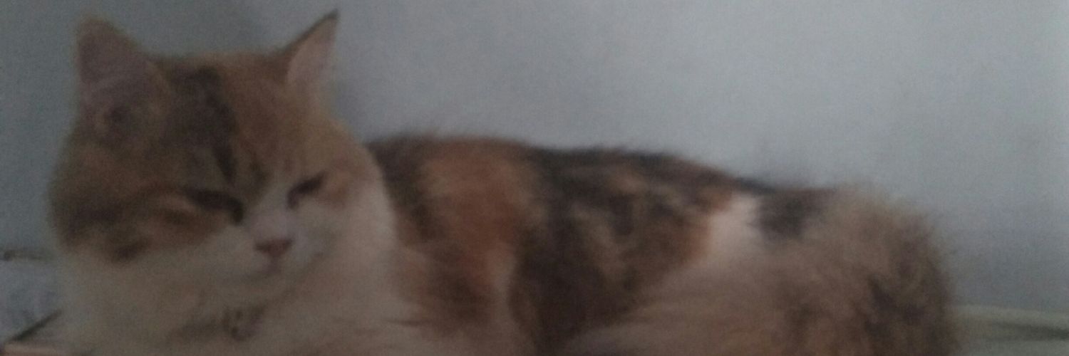 Andinawrdh's profile banner image