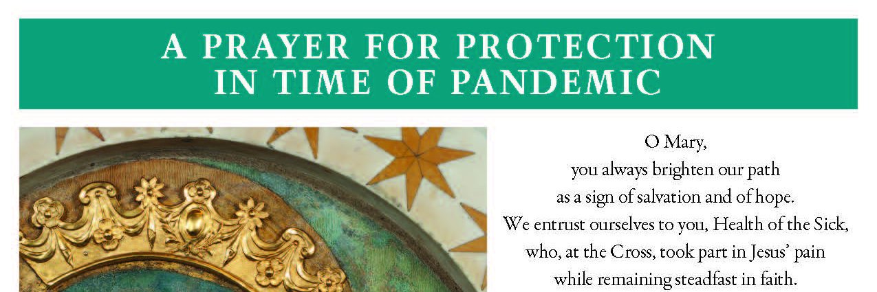 KofC3738's profile banner image