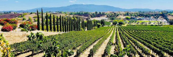 OCDiva3 Profile Banner