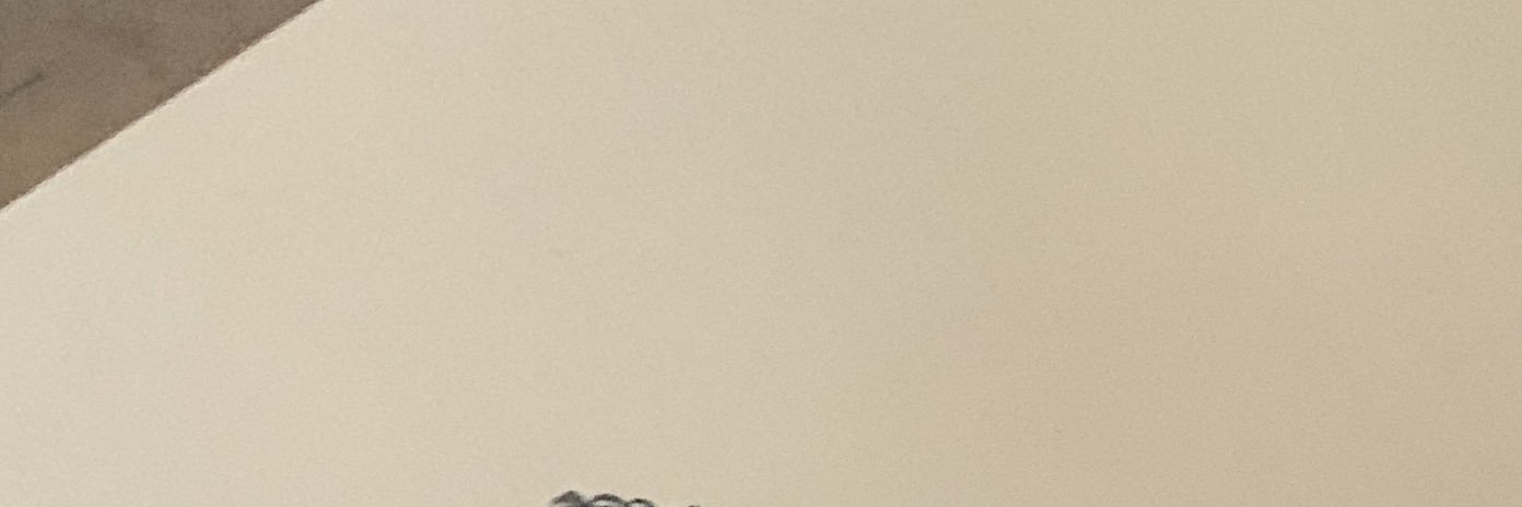 kanquiMUNDIAL's profile banner image