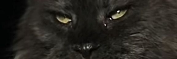 saofiqlord's profile banner image