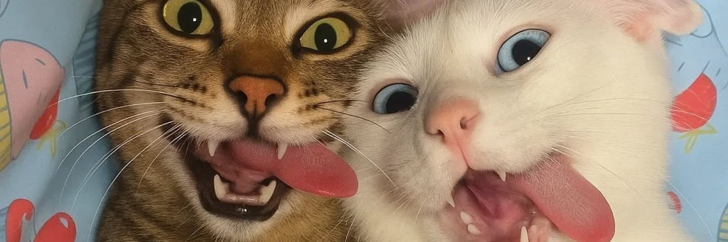 subiyea's profile banner image