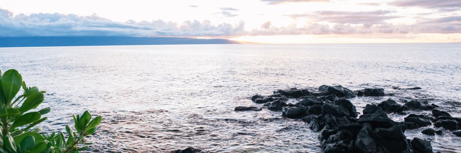 ReactionReady banner