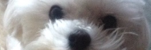 goofynanny's profile banner image
