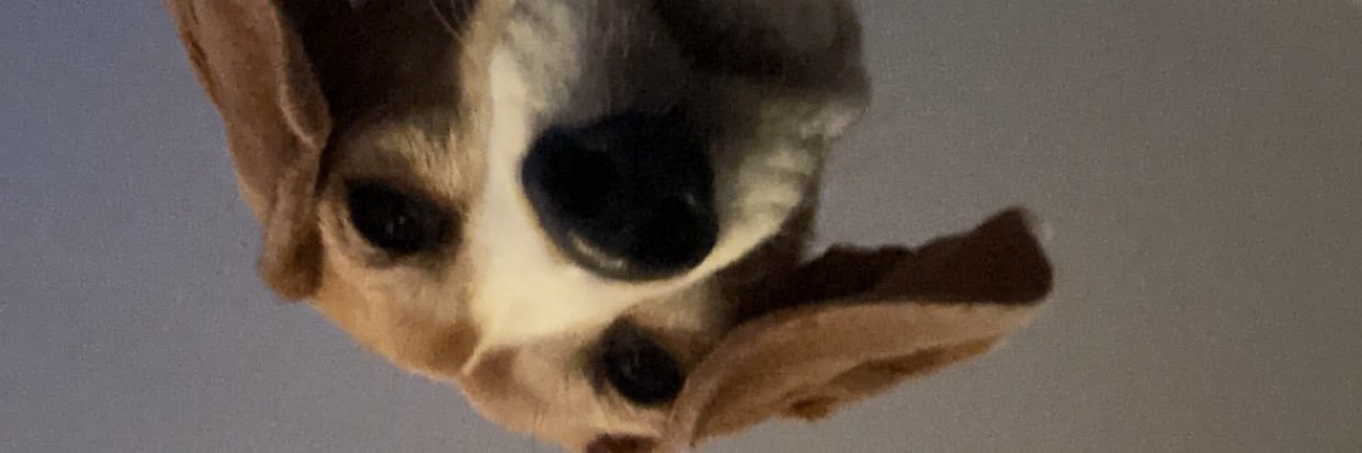 thottie_bugatti's profile banner image