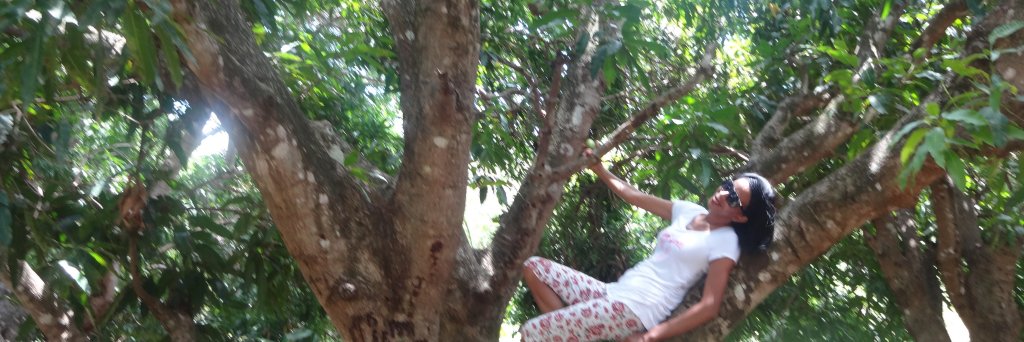 MariaStael2's profile banner image