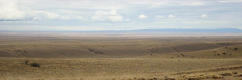 ENCHO🐧🇦🇷🇦🇶 banner