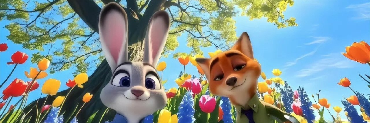 Vidavshiy's profile banner image