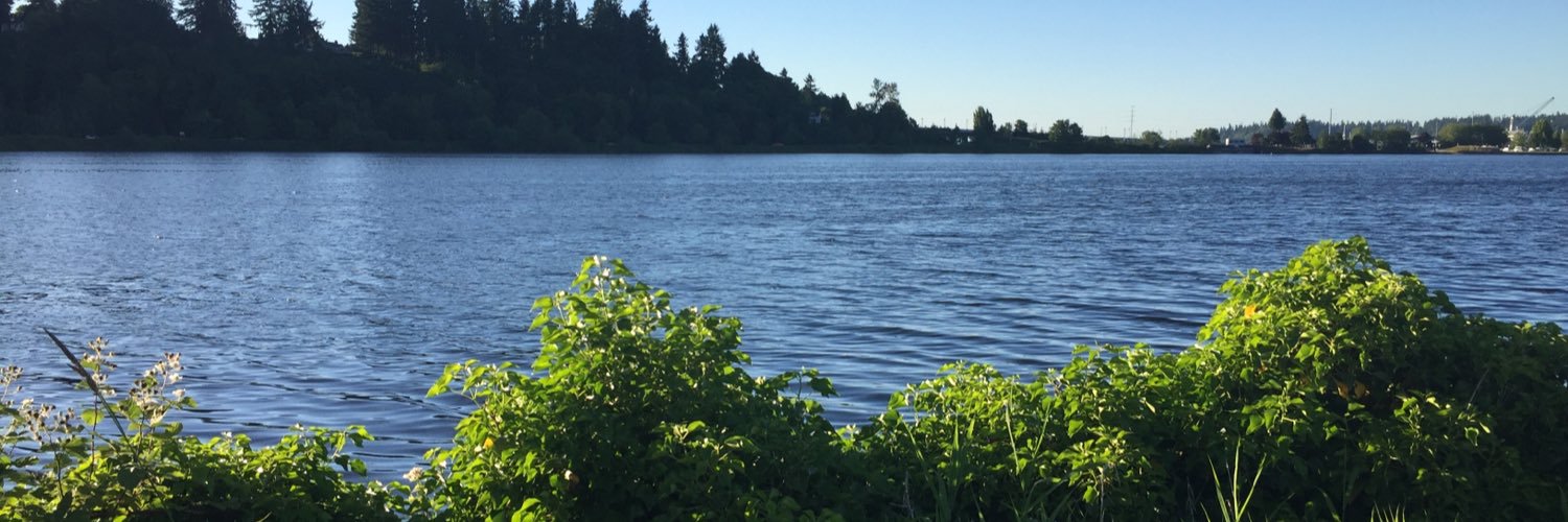 fadedalligator's profile banner image