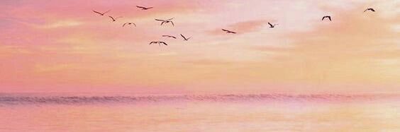HaMahmmud's profile banner image