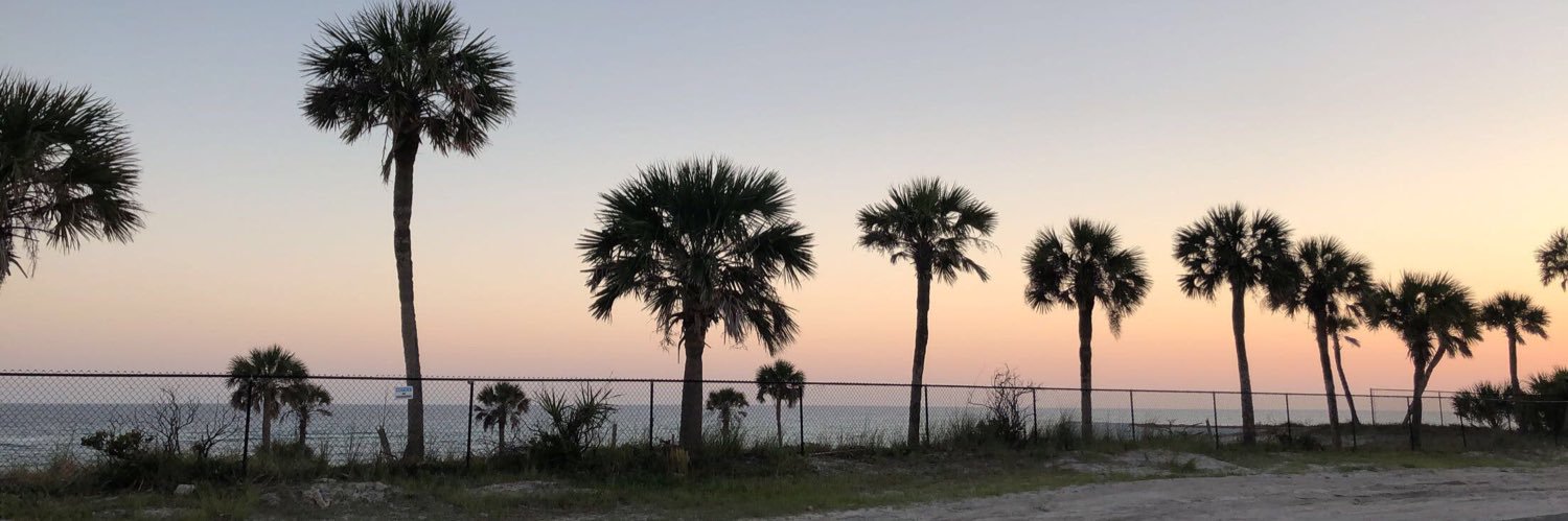 ashleesutton13's profile banner image