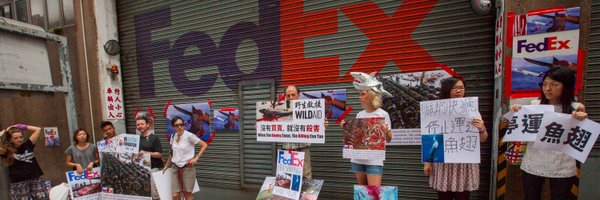 Sharksavers Profile Banner