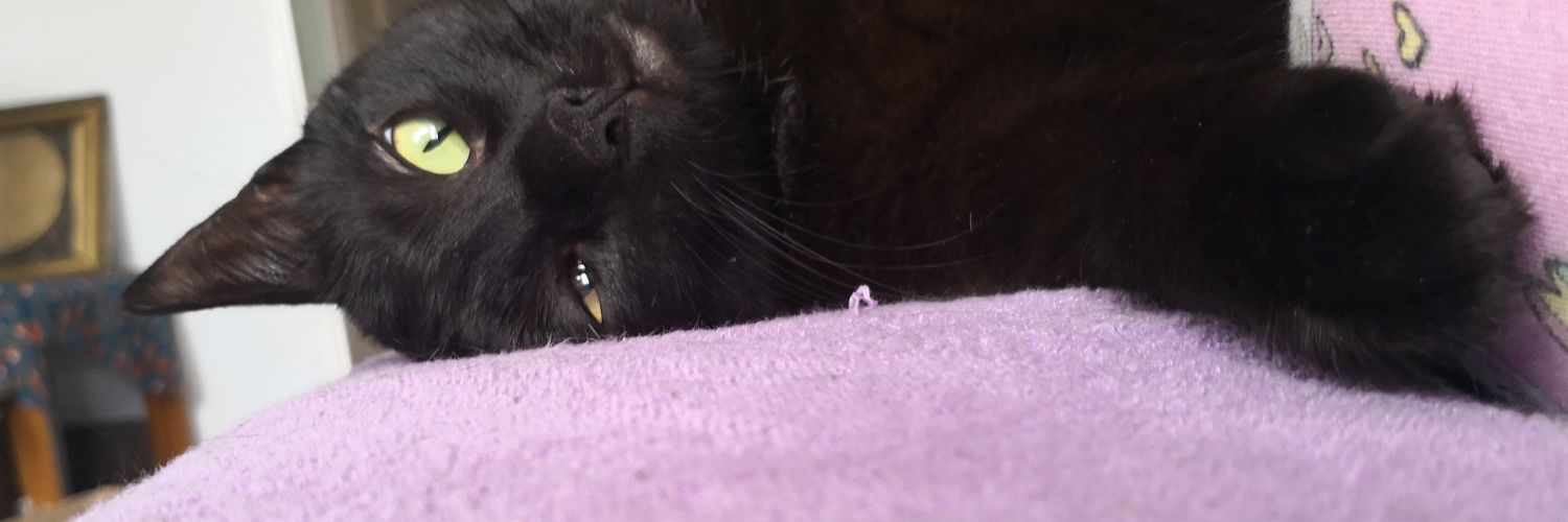 _whatewa's profile banner image