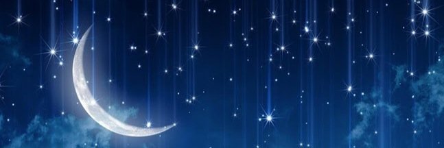 btfrenzy's profile banner image