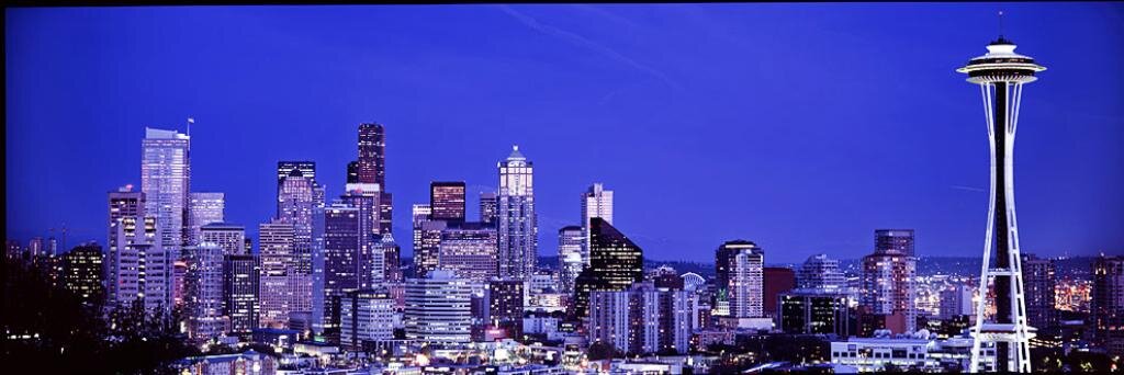 Vija Williams banner