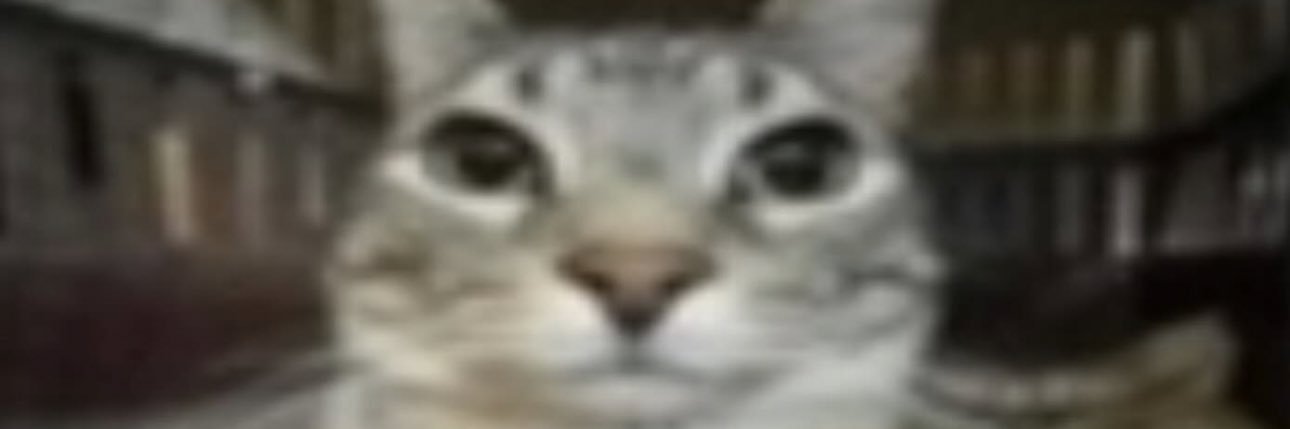 hi banner