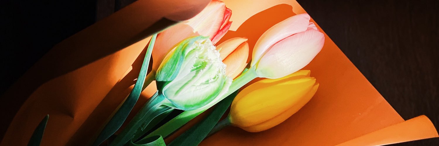 naturalbossa_'s profile banner image