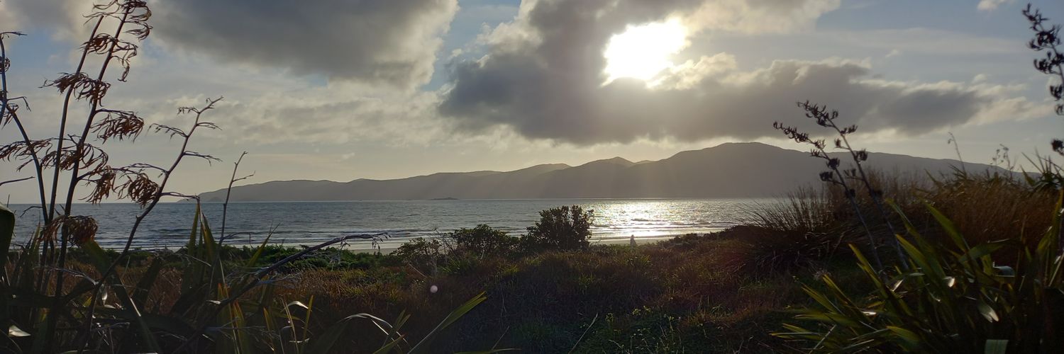 kiwigold61's profile banner image